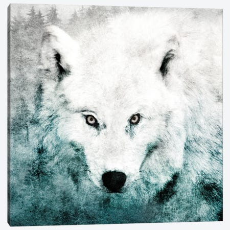 The Tenderness Of Wolves - Teenage Kicks Canvas Print #TDS74} by Tordis Kayma Canvas Art Print