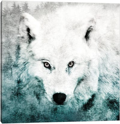 The Tenderness Of Wolves - Teenage Kicks Canvas Art Print - Tordis Kayma