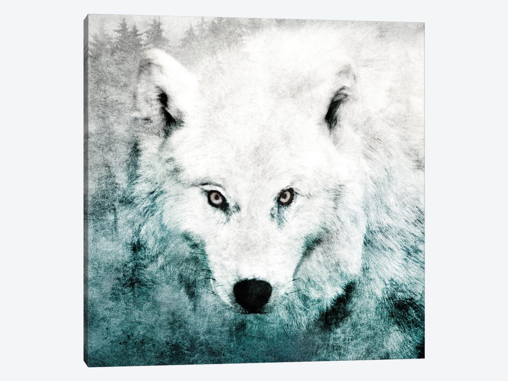 The Tenderness Of Wolves - Teenage Kicks by Tordis Kayma 1-piece Canvas Wall Art