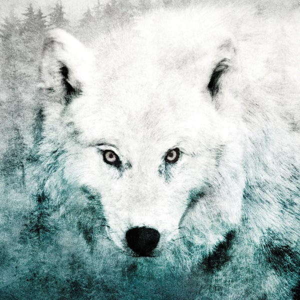 Tordis Kayma: The Tenderness Of Wolves - Teenage Kicks by Tordis Kayma