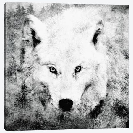 The Tenderness Of Wolves - Moonchild Canvas Print #TDS75} by Tordis Kayma Canvas Print