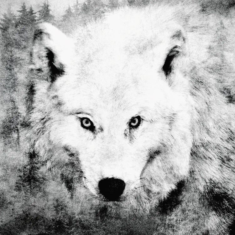 The Tenderness Of Wolves - Moonchild by Tordis Kayma wall art