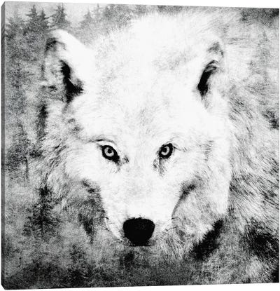 The Tenderness Of Wolves - Moonchild Canvas Art Print - Wolf Art