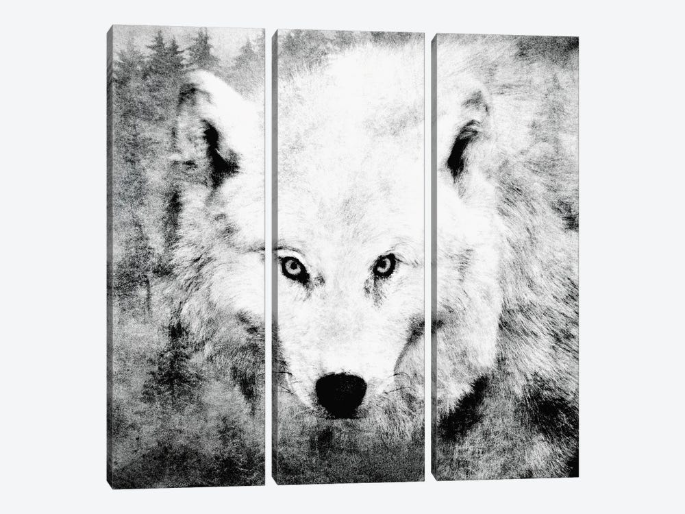 The Tenderness Of Wolves - Moonchild by Tordis Kayma 3-piece Canvas Print