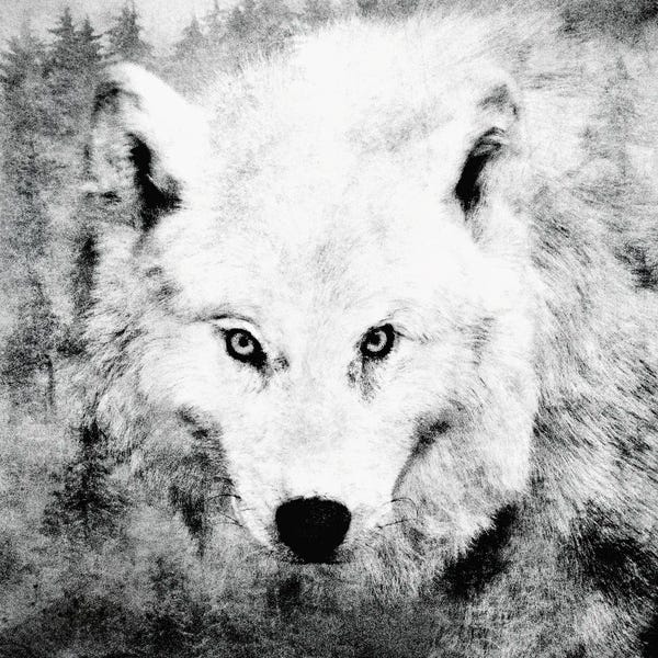 Wolves: The Tenderness Of Wolves - Moonchild by Tordis Kayma