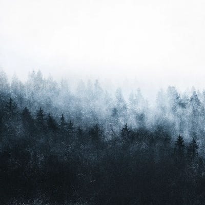 New Beginnings In Wild Ambience by Tordis Kayma framed canvas print