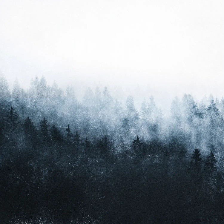 New Beginnings In Wild Ambience