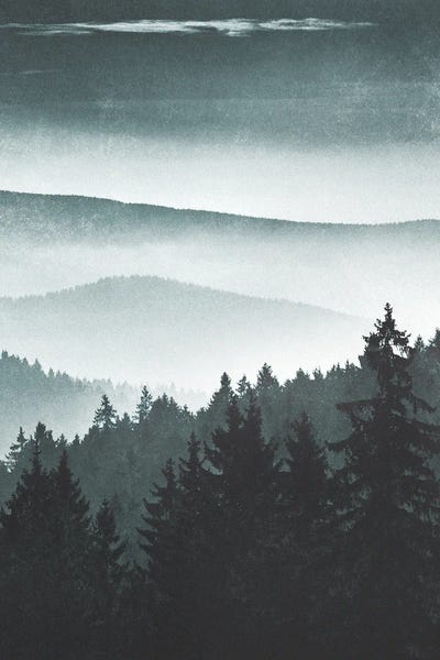 Mountain Light - My Cosmos Is Fine