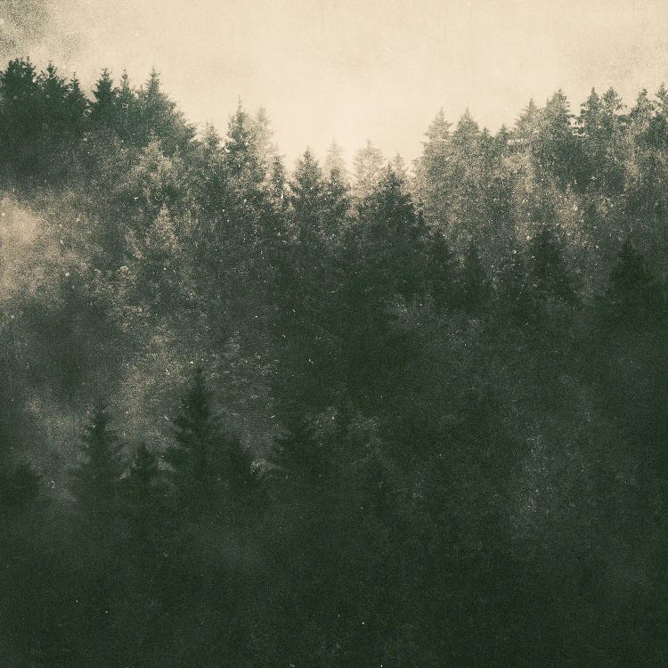Asleep - Out Of Nowhere by Tordis Kayma wall art
