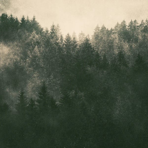 Asleep - Out Of Nowhere