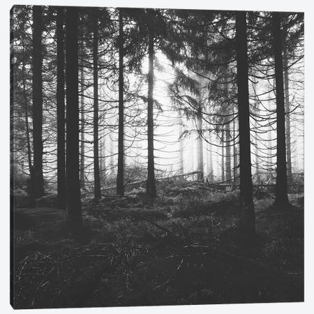 Through The Trees - Nightwalker In Ghostwood Canvas Print #TDS85} by Tordis Kayma Canvas Wall Art