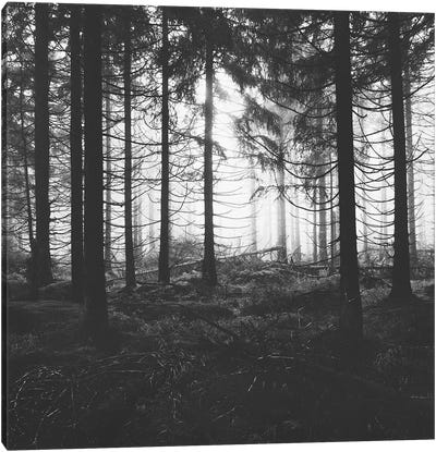 Through The Trees - Nightwalker In Ghostwood Canvas Art Print - Tordis Kayma