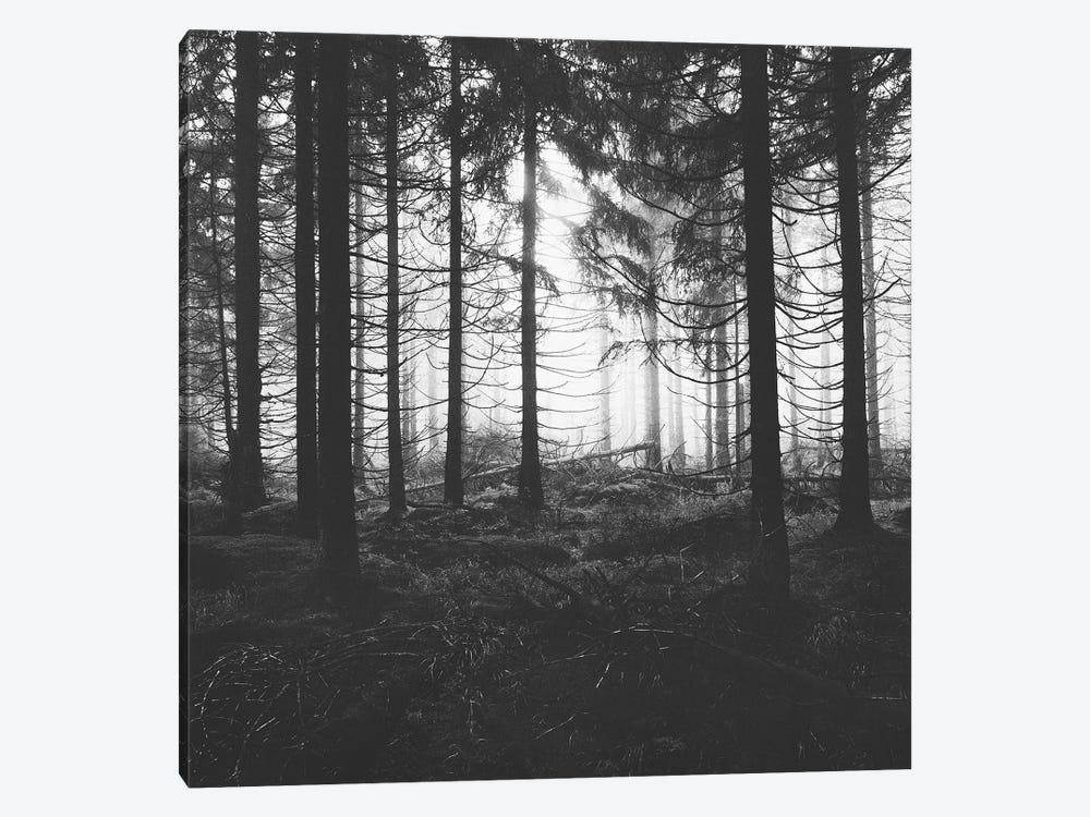 Through The Trees - Nightwalker In Ghostwood by Tordis Kayma 1-piece Canvas Wall Art