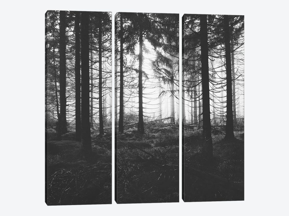 Through The Trees - Nightwalker In Ghostwood by Tordis Kayma 3-piece Canvas Artwork