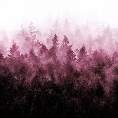 The Heart Of My Heart - Heaven Is Of Kisses And Honey by Tordis Kayma framed canvas print