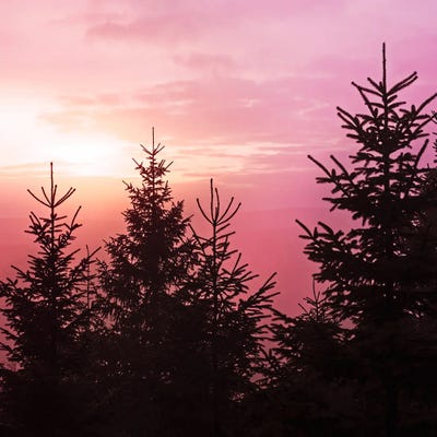 The New Romantic by Tordis Kayma framed canvas print