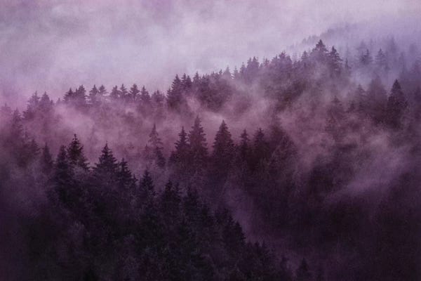 Mist & Fog: Excuse Me I'm Lost by Tordis Kayma