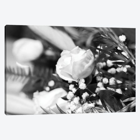 Dramatic Rose In Black And White Canvas Print #TEA12} by Teal Production Canvas Art Print