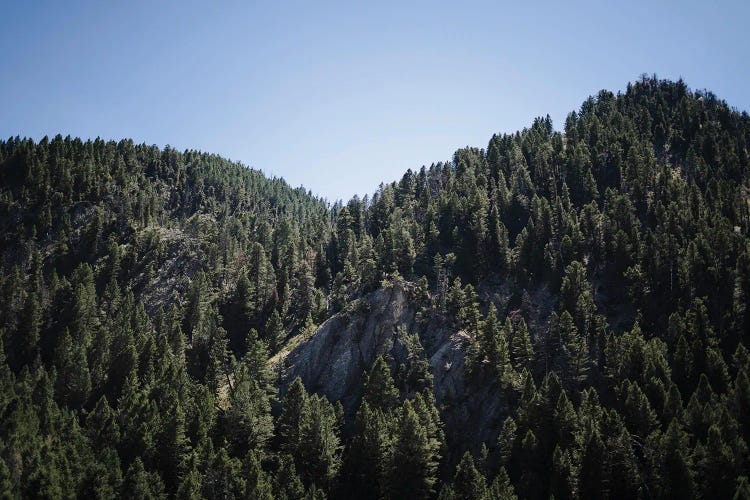 Mountains Peaks In Wyoming In Color