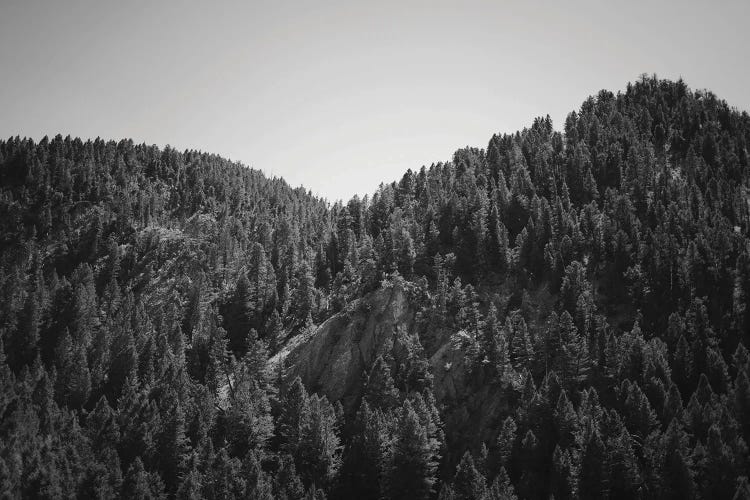 Mountains Peaks In Wyoming In Black And White