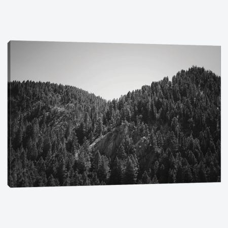 Mountains Peaks In Wyoming In Black And White Canvas Print #TEA16} by Teal Production Canvas Art