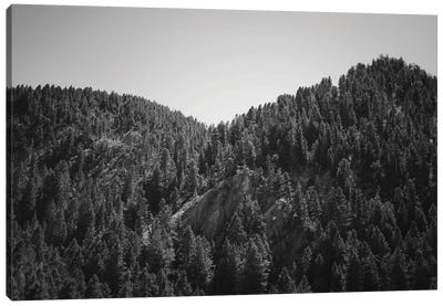Mountains Peaks In Wyoming In Black And White Canvas Art Print - Teal Production