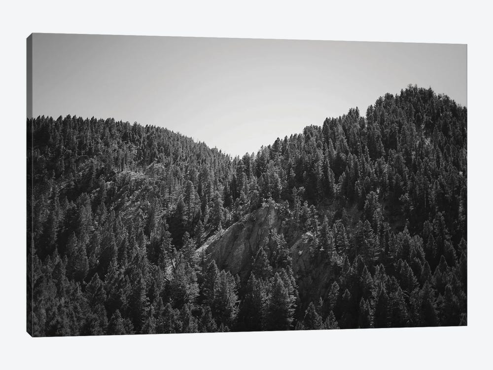 Mountains Peaks In Wyoming In Black And White by Teal Production 1-piece Canvas Artwork