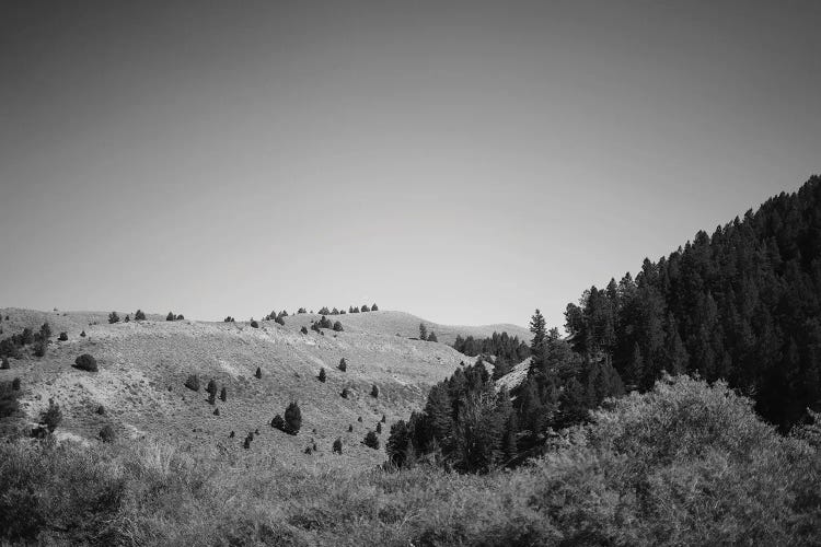 Wyoming Mountain View In Black And White