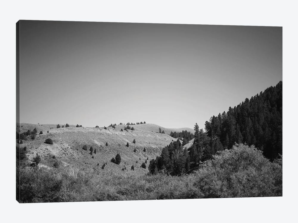 Wyoming Mountain View In Black And White by Teal Production 1-piece Canvas Art Print