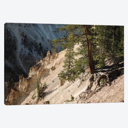 Hanging On At Yellowstone In Color Canvas Print #TEA19} by Teal Production Canvas Art Print