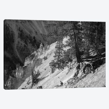 Hanging On At Yellowstone In Black And White Canvas Print #TEA20} by Teal Production Canvas Wall Art