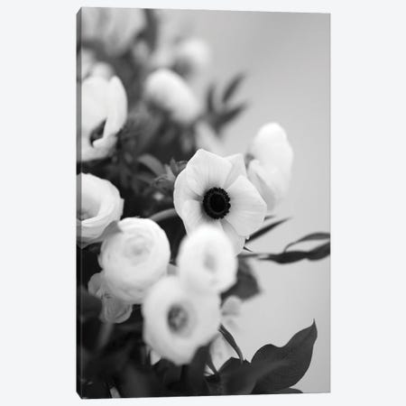 Anemones In Bloom Black And White Canvas Print #TEA27} by Teal Production Canvas Art Print