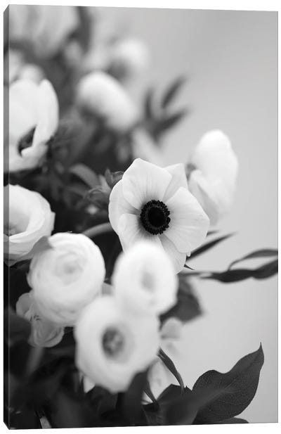 Anemones In Bloom Black And White Canvas Art Print - Teal Production