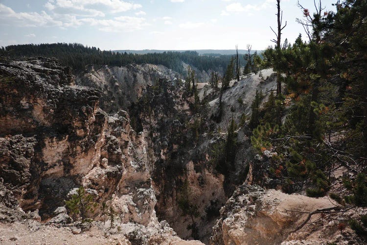 Rocky Yellowstone In Color