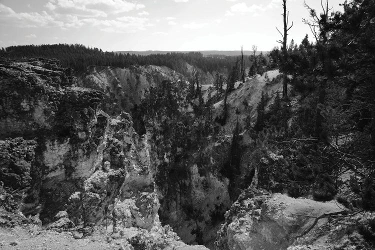 Rocky Yellowstone In Black And White