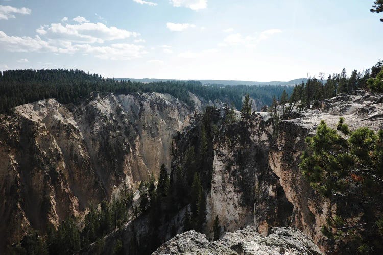 Yellowstone Cliff In Color