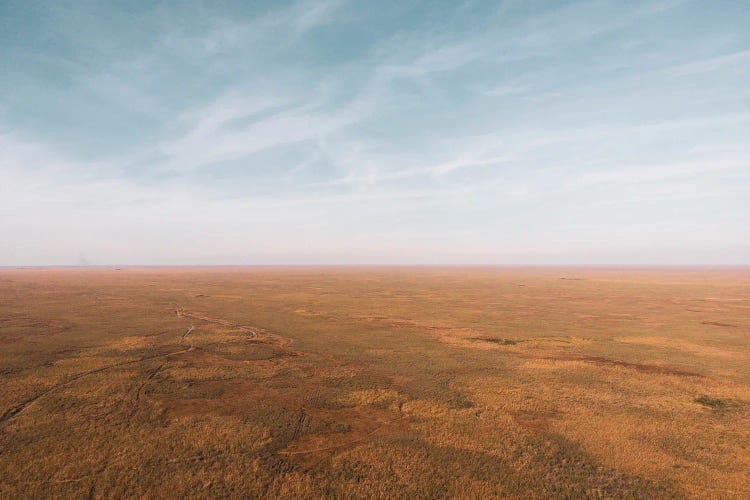 Stillness Over Florida Wetlands