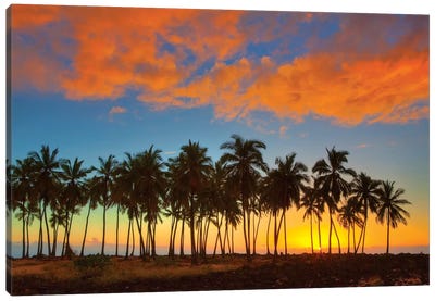 Sunset, Pu'uhonua o Honaunau National Historical Park, Big Island, Hawai'i, USA Canvas Art Print