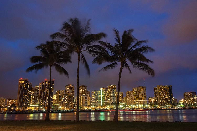 USA, Hawaii, Honolulu, Palm Trees with the night lights of Honolulu