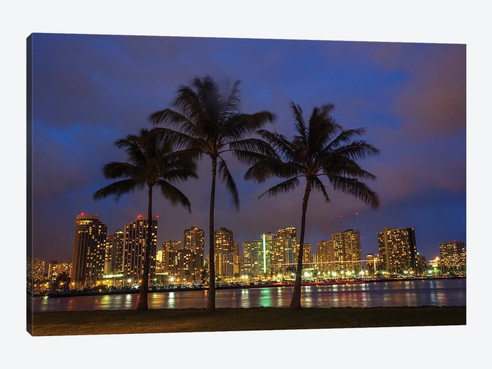 USA, Hawaii, Honolulu, Palm Trees with the night lights of Honolulu by Terry Eggers 1-piece Art Print