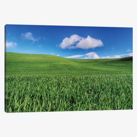 USA, Washington State, Palouse Country, Spring Wheat Field and Clouds I Canvas Print #TEG29} by Terry Eggers Canvas Wall Art