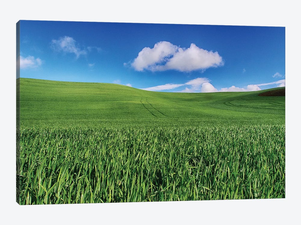 USA, Washington State, Palouse Country, Spring Wheat Field and Clouds I by Terry Eggers 1-piece Canvas Art