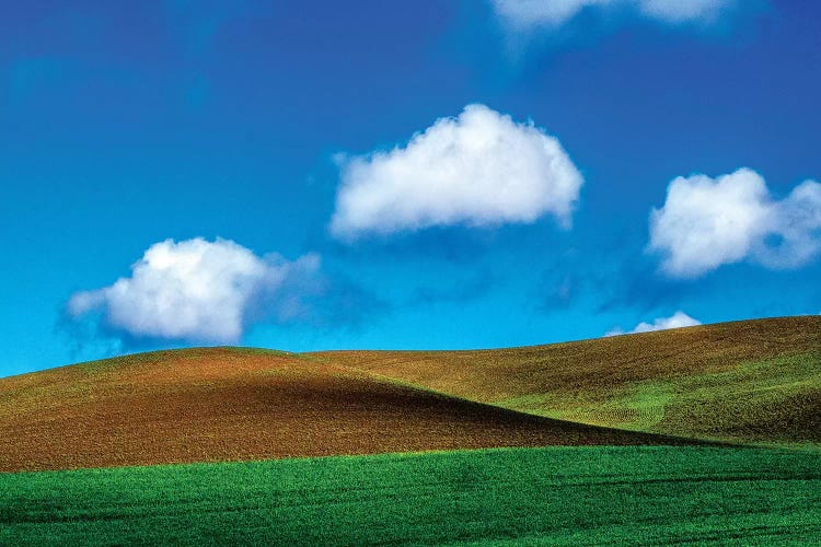 USA, Washington State, Palouse Country, Spring Wheat Field and Clouds II