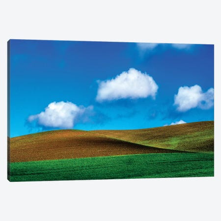 USA, Washington State, Palouse Country, Spring Wheat Field and Clouds II Canvas Print #TEG30} by Terry Eggers Canvas Print