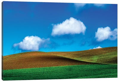 USA, Washington State, Palouse Country, Spring Wheat Field and Clouds II Canvas Art Print