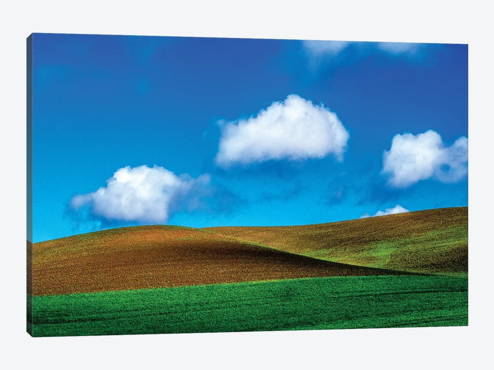 USA, Washington State, Palouse Country, Spring Wheat Field and Clouds II by Terry Eggers 1-piece Canvas Art