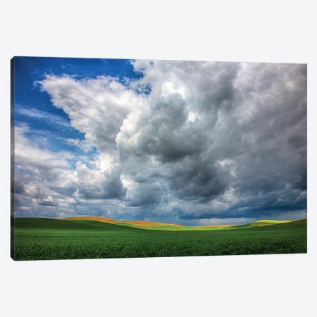 USA, Washington State, Palouse, Spring Rolling Hills of Wheat fields Canvas Print #TEG31} by Terry Eggers Canvas Print
