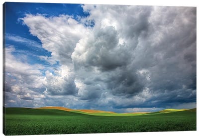 USA, Washington State, Palouse, Spring Rolling Hills of Wheat fields Canvas Art Print