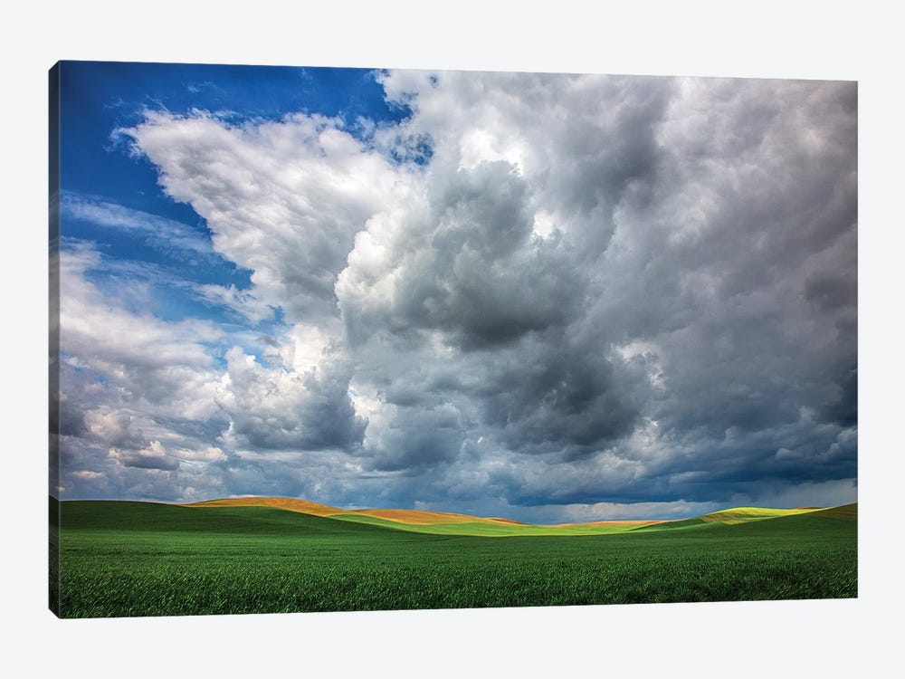 USA, Washington State, Palouse, Spring Rolling Hills of Wheat fields 1-piece Canvas Print