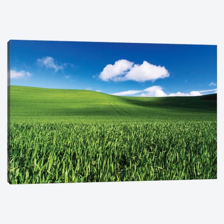 USA, Washington State, Palouse, Spring Wheat Field and Clouds Canvas Print #TEG32} by Terry Eggers Canvas Print